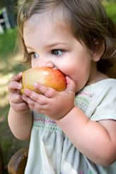 Picture of a child eating an apple.